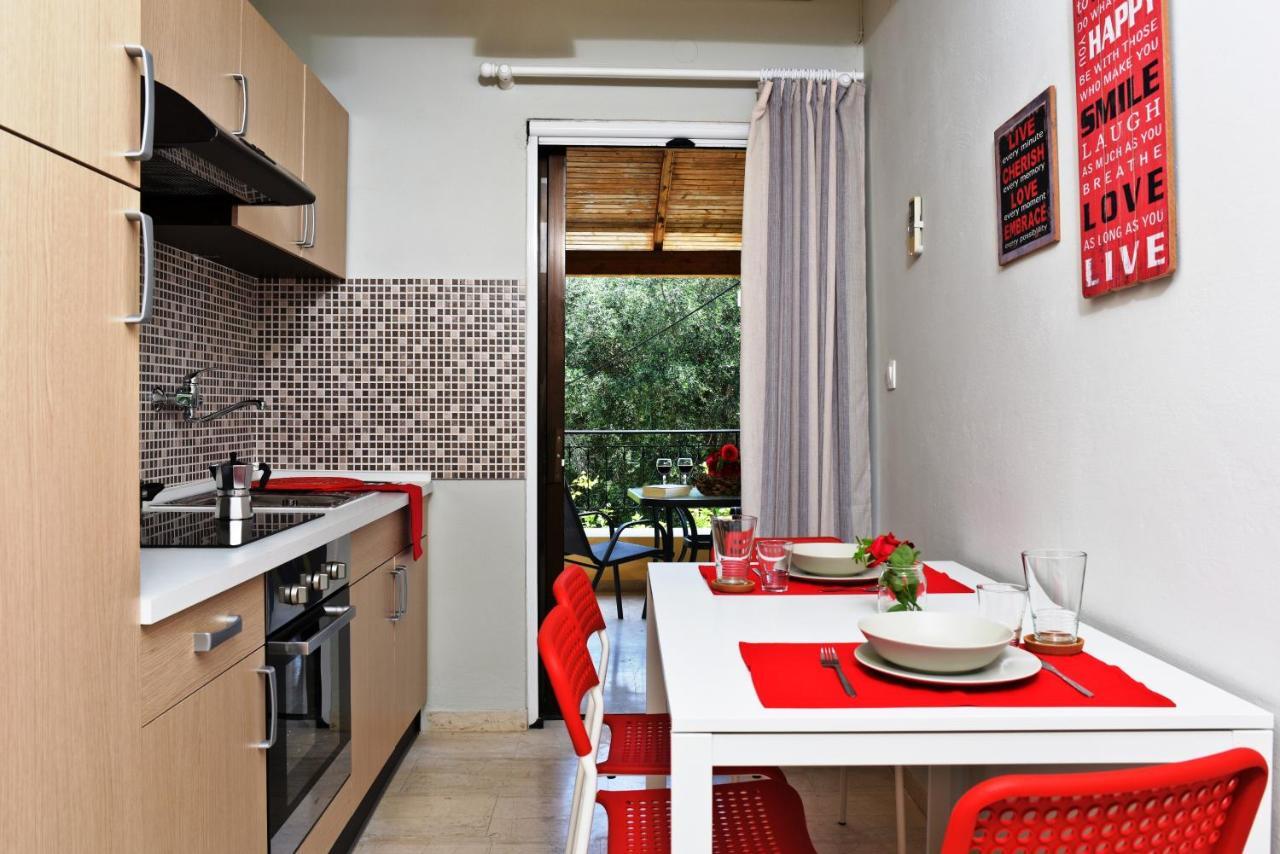 Kokoros Apartments Κάτω Κορακιάνα Εξωτερικό φωτογραφία